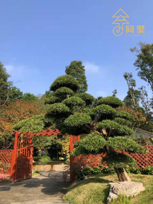 钟洪江 扎根苗圃，播绿生金——打造苗木花卉产业新样板